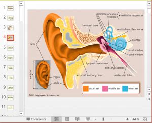 پاورپوینت اختلالات شنوایی و تعادلی